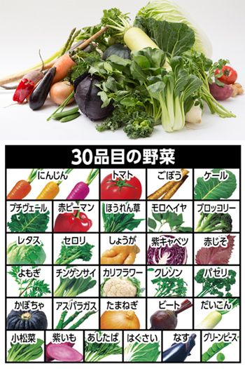 野菜の保存食セットYH-30