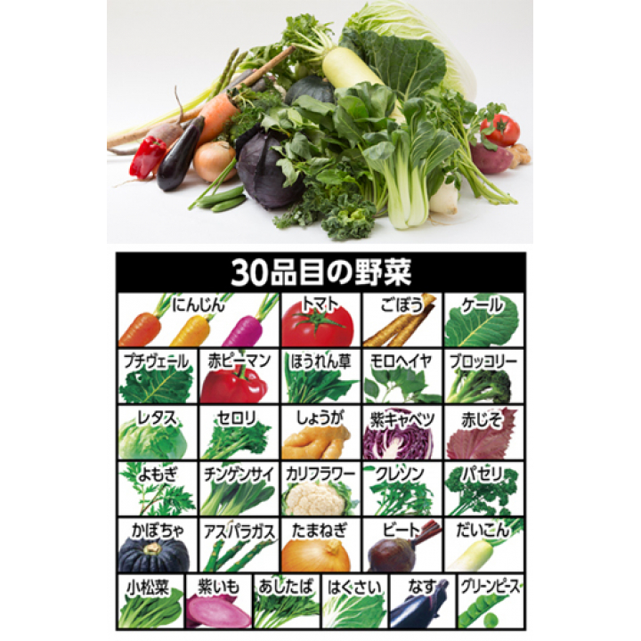 野菜の保存食セットYH-30